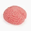 Brain Shaped Splat Balls 2.75" (DZ)