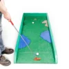 Rental Golf Putting Game
