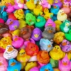Rubber Ducky Assortment 2" (50 PACK)